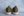Alpargata - Olive Suede Slip-On
