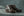 Guano - Dark Bown Leather Chukka Boot